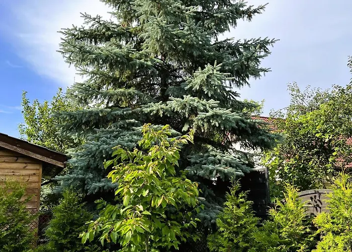 Guest house Pod Czeresnia